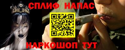 дживик Новозыбков