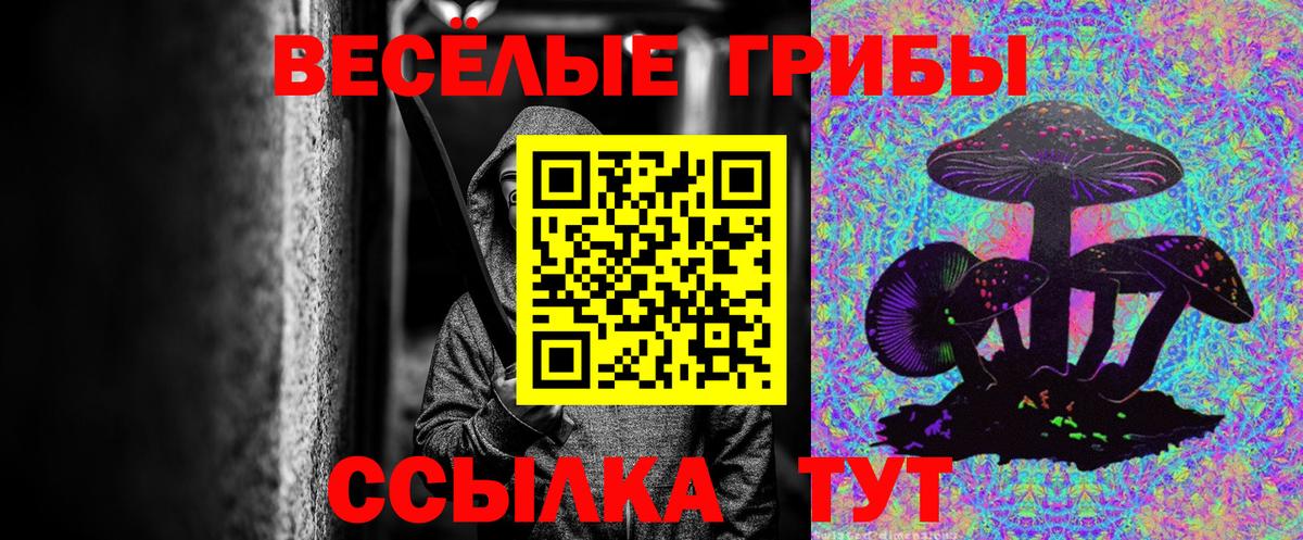 Ангарск  Галлюциногенные грибы ЛСД  Вход с VPN 