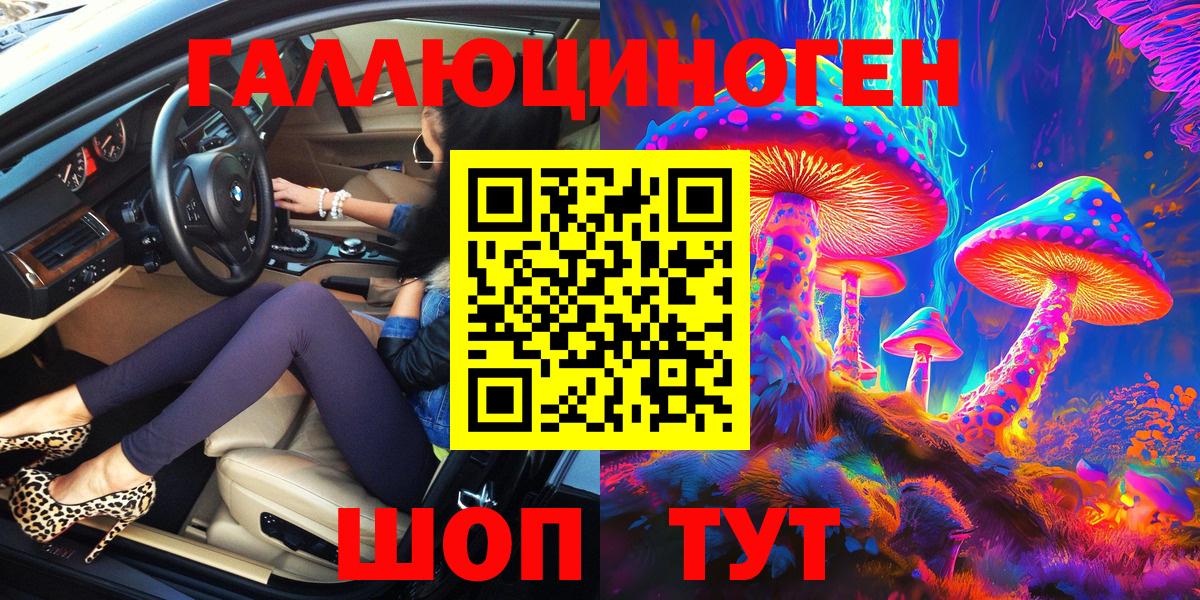 Псилоцибиновые грибы Psilocybe Ангарск